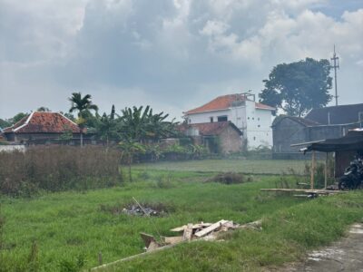 Saporete Idealife
