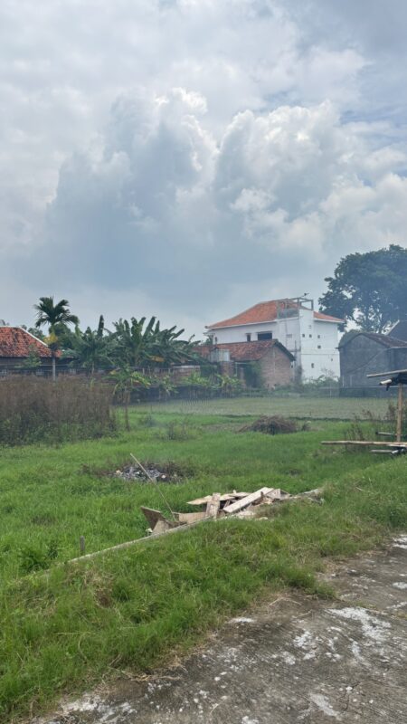 Saporete Idealife