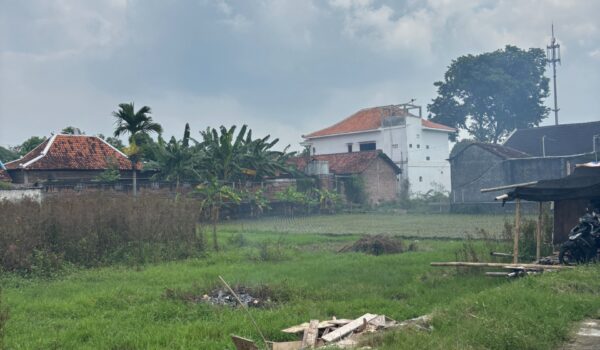 Saporete Idealife